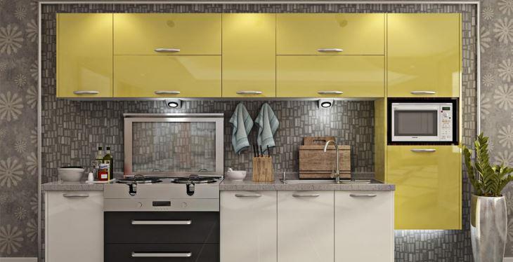 阳光清晨蘑菇视频APP下载污