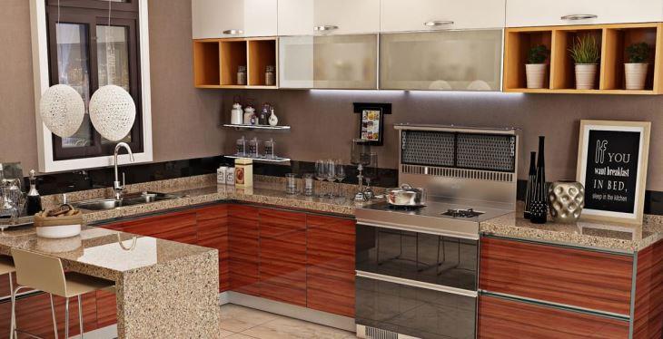 枫之木语蘑菇视频APP下载污