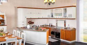 罗马假日蘑菇视频APP下载污